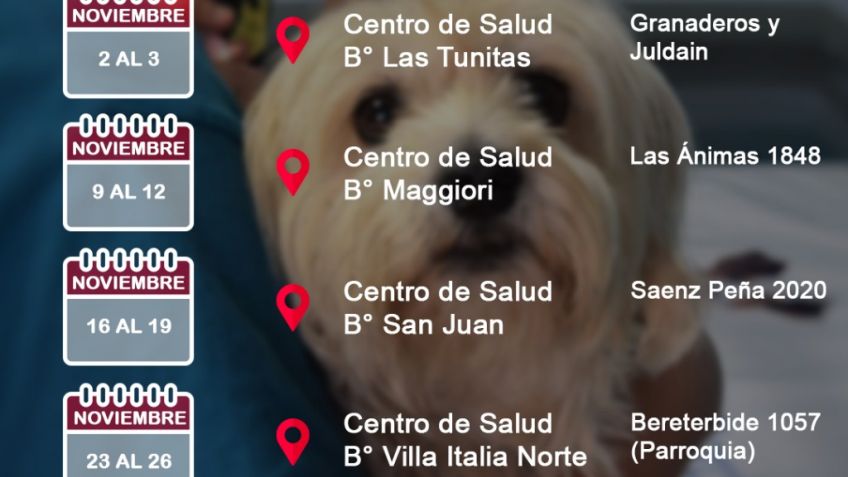Durante noviembre seguirá la castración y vacunación gratuita de mascotas en los barrios