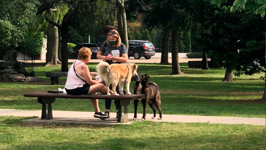 "Suerte es no pisarla"