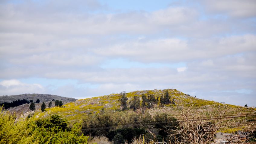 Sábado con cielo parcialmente nublado y máxima de 16º