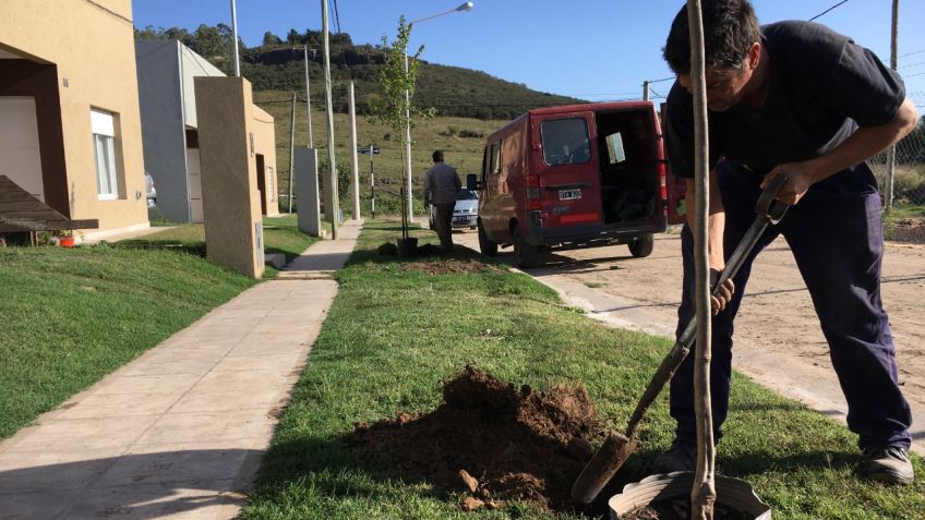 Con la plantación de 3.500 árboles, se cumplió con la etapa del Plan de Forestación para este año