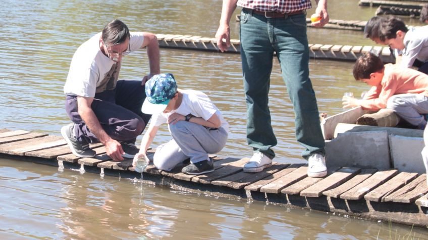 Nueva siembra de alevinos de pejerrey en el Lago