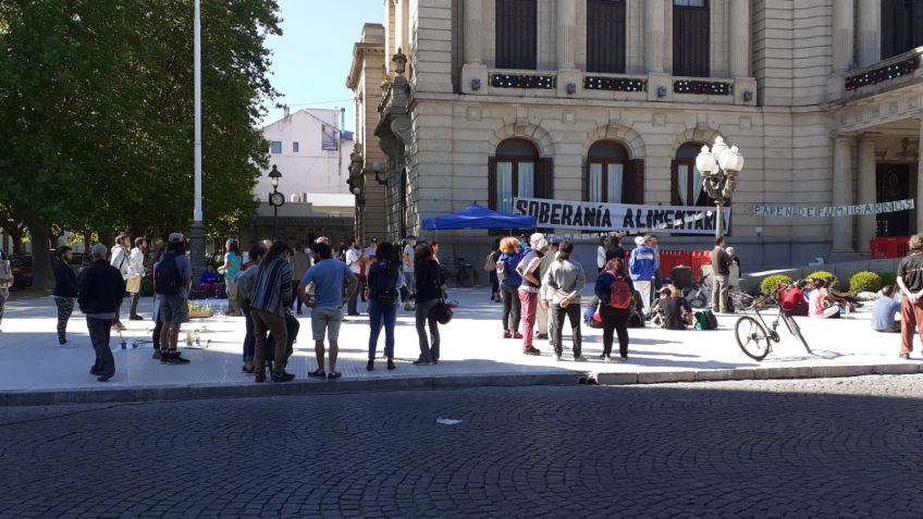 Agroquímicos: el HCD tratará la ordenanza mientras ambientalistas reclaman 