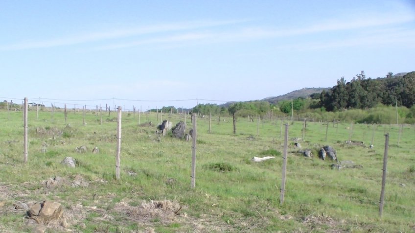 "Basta de lotear Sierras"