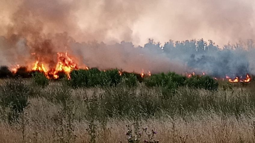 Desde el Municipio emitieron algunas recomendaciones para prevenir incendios forestales