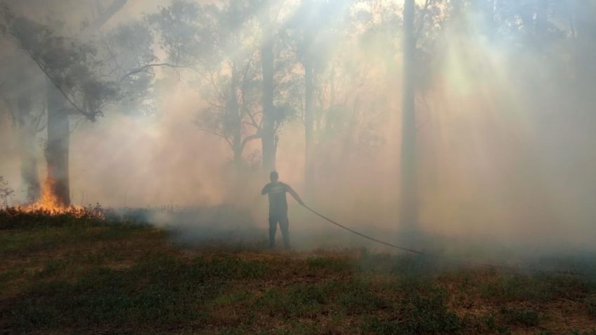 Tandil sigue en "riesgo extremo" de incendios y Lunghi pidió "ser parte de la prevención"