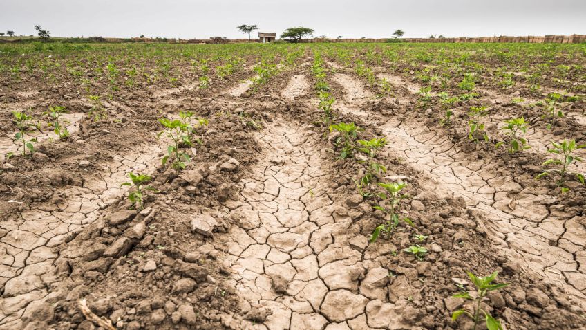 Reclaman declarar la emergencia agropecuaria por la sequía