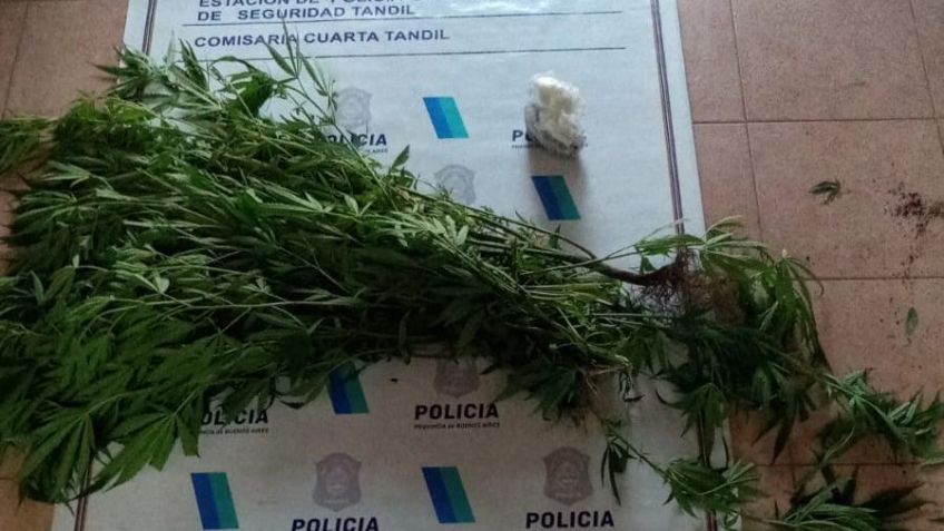 Los allanaron por romper cámaras de seguridad y secuestraron marihuana