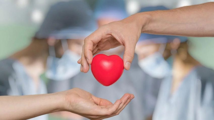 En dos meses, más de 100 mil personas se registraron voluntariamente para ser donantes de órganos