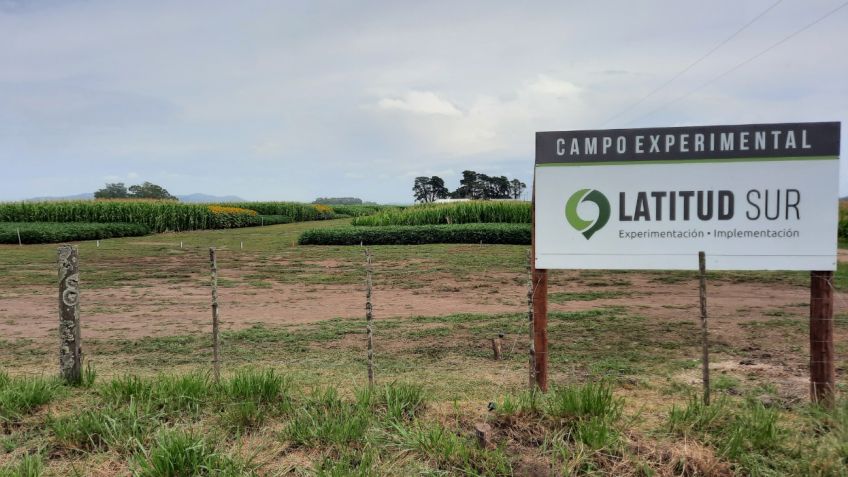 Se realiza el Primer Encuentro sobre producción con productos biológicos y estrategias sustentables
