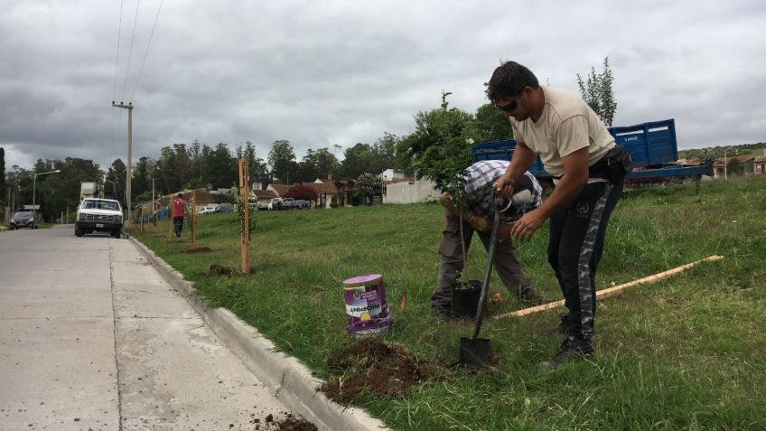 El Plan Forestal del Bicentenario avanza para plantar más de 10 mil árboles en cinco años