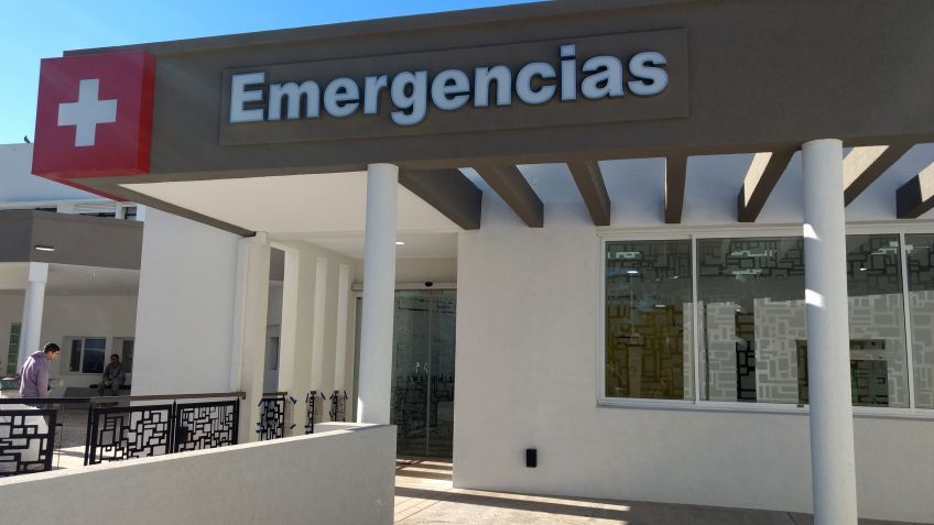 Tres personas fueron internadas en terapia intensiva por intoxicación al ingerir hongos
