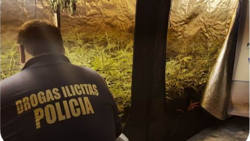 Se secuestró una importante cantidad de marihuana y se aprehendió a dos personas