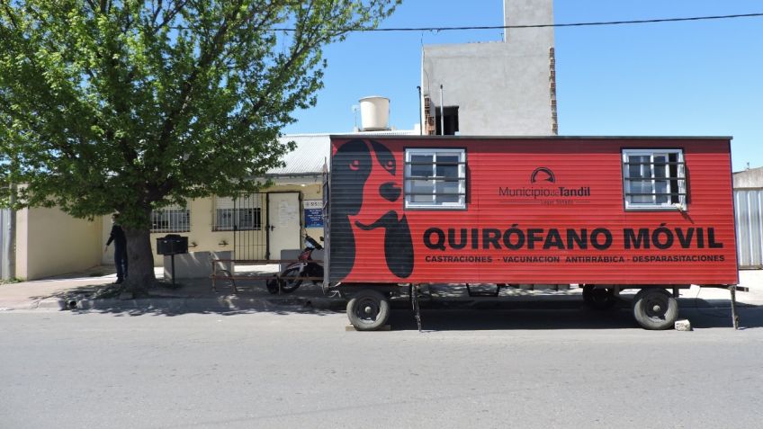 Castración y vacunación gratuita para mascotas: cronograma de mayo