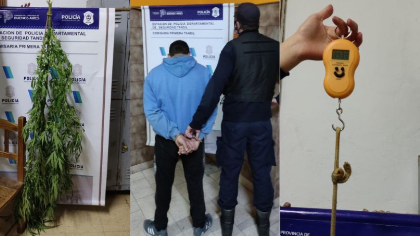 Aprehenden a un hombre cuando robaba planta de marihuana del patio de una vivienda