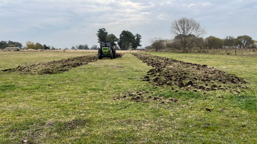 Gimnasia comenzó los trabajos en su nuevo campo de entrenamiento