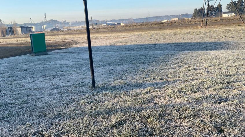 Las heladas volvieron a teñir de blanco a Tandil 