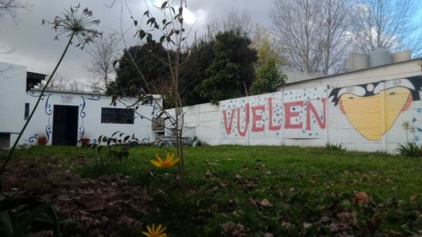 En La Movediza crece aceleradamente el "jardín azulgrana"
