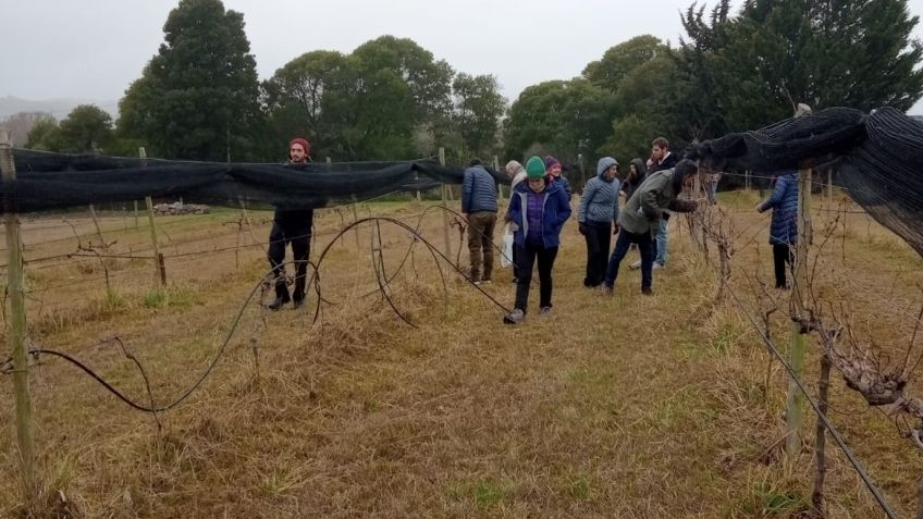 Se concretó el anunciado taller de Poda de Invierno en la Vitivinicultura