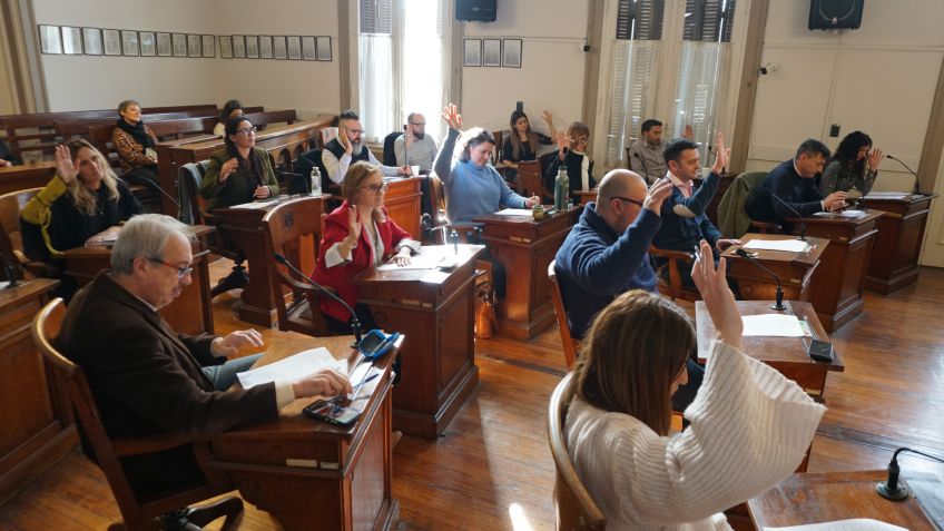 Prórroga de la concesión del transporte público, registro de poda y lotes para construcción