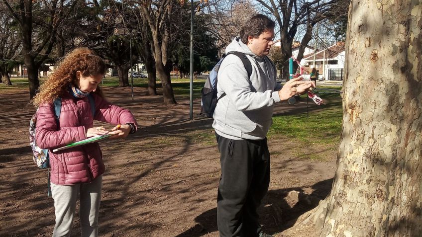 Estudiarán en Tandil el impacto del cambio climático en los árboles