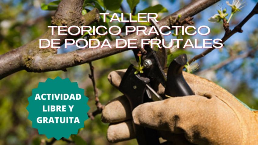 Se realizará un taller sobre poda de árboles frutales