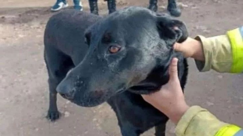 Matías Gabriel Bigliante fue encontrado en Cerro Leones en buen estado de salud