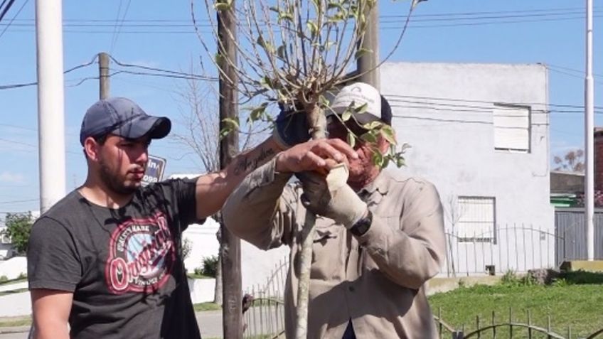 En los próximos días llegarán a los 9000 árboles plantados del Plan de Forestación
