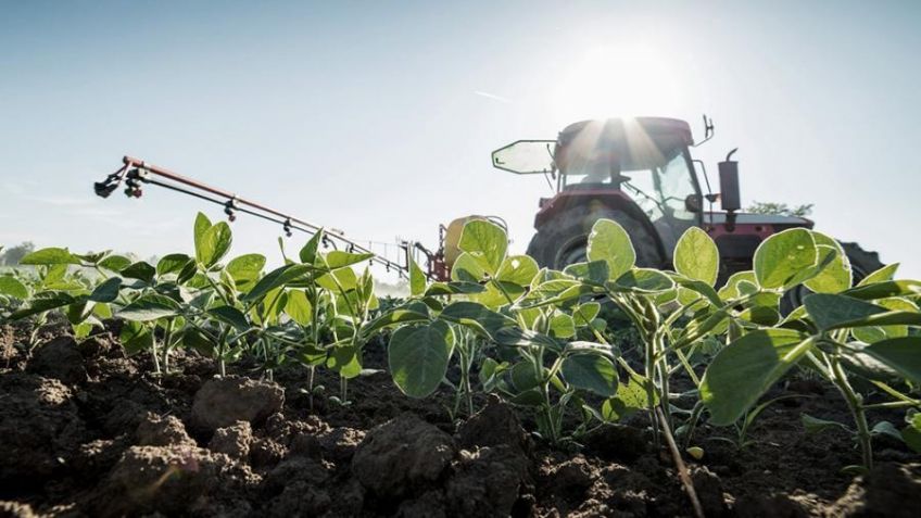 "Dólar soja": en dos semanas, agroexportadores ingresaron US$ 3.564 millones