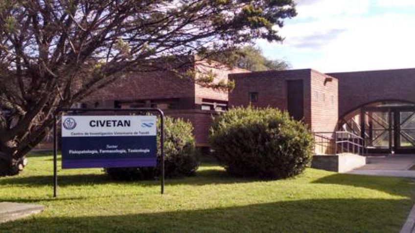 Tandil tendrá uno de los siete Institutos de Investigación que construirá Nación
