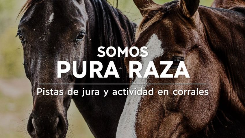 La Expocaballos Criollos se hará este año dentro de Expotan