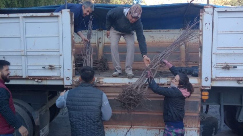 Entregaron plantas a productores en el marco del Plan Frutícola