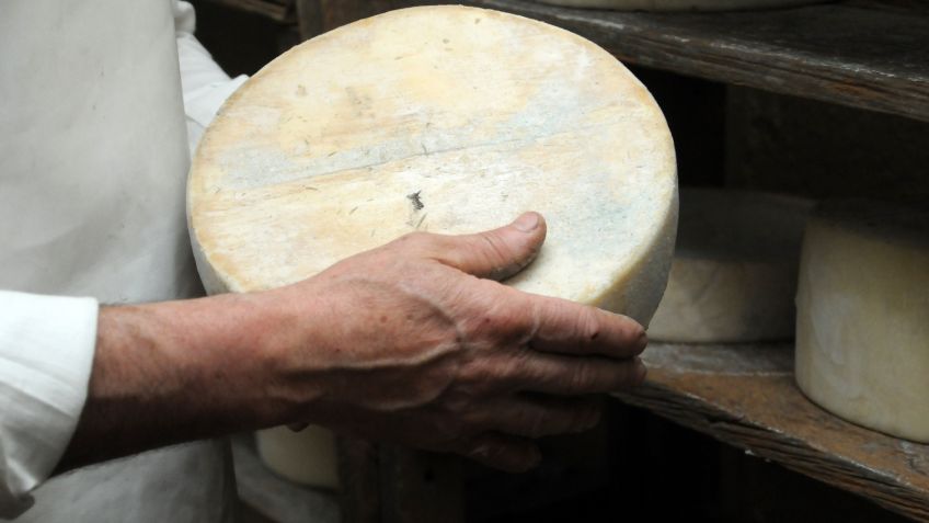 Las empresas del cluster pusieron a resguardo los Quesos de Tandil, edición Bicentenario