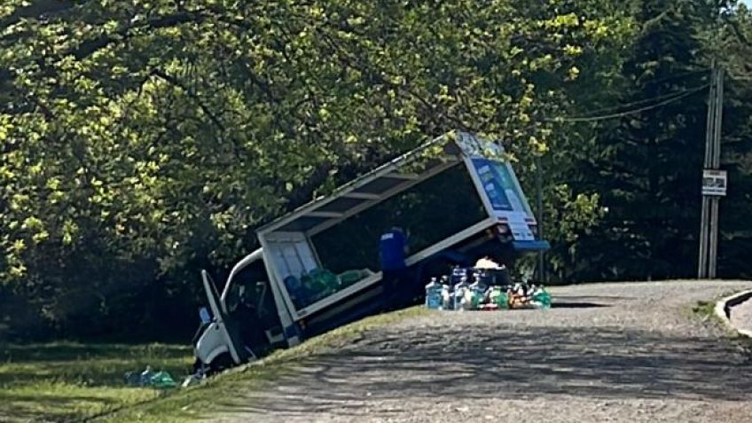 Camión sodero se despistó en la zona del lago: sin heridos