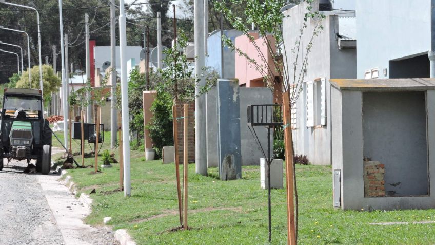 Se abrió la inscripción para el Registro Unico de Podadores del Partido de Tandil