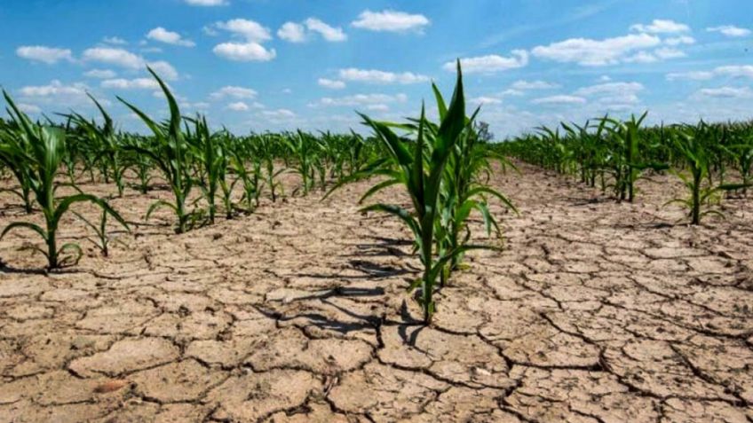Confirman la emergencia agropecuaria para el partido de Tandil