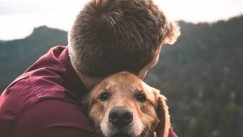 La hominización de las mascotas pone en emergencia a los veterinarios  