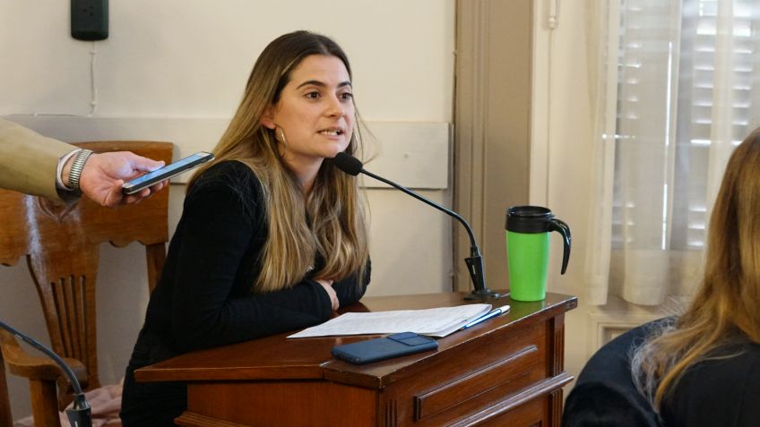 Esnaola afirmó que se ajustó el proyectó del "Paseo de los Vascos" a las normativas ambientales