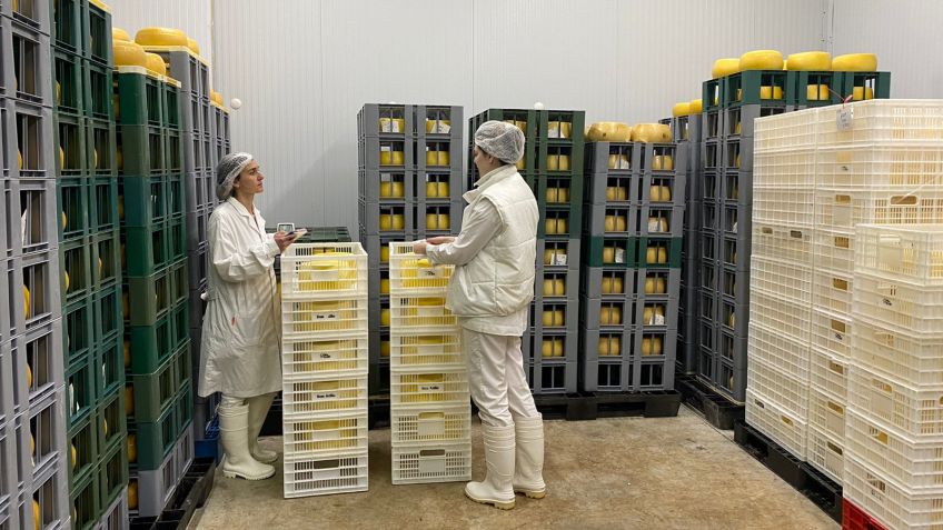 Quesos tandilenses ingresan al mercado de los Estados Unidos