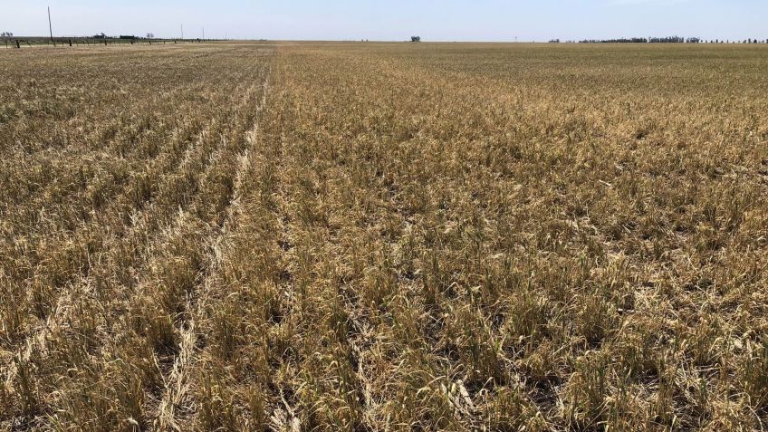 Se prorroga el periodo de recepción de declaraciones juradas por la emergencia agropecuaria