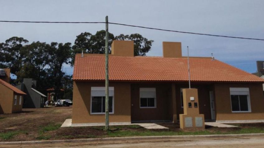 Cooperativa Falucho innova con el desperdicio del trigo para remplazar al durlock