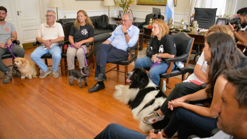 El SISP implementará un proyecto de Terapia Asistida con Perros en el Hospital de Niños