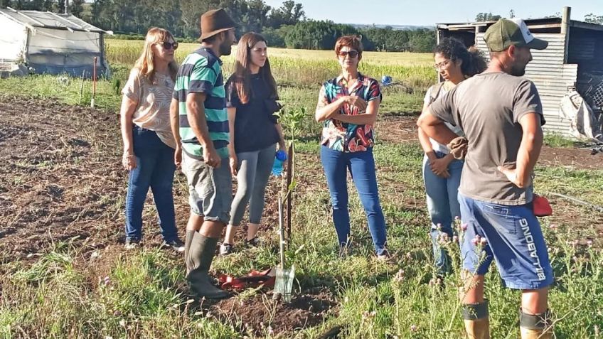 Provincia y Municipio ampliarán el alcance de un programa de fomento a la fruticultura