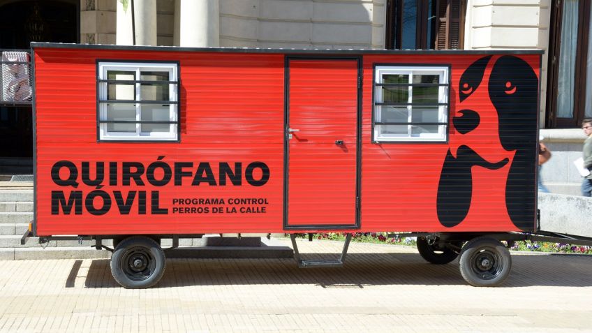 El Municipio continúa con el programa permanente de castración y vacunación de animales