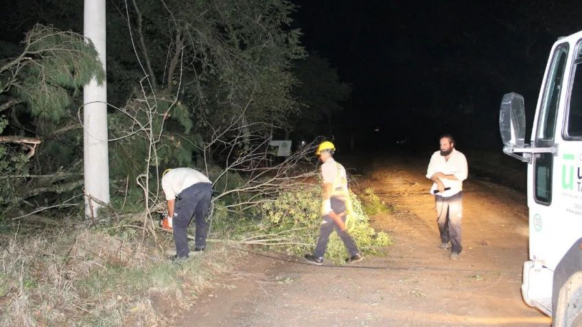La caída de una planta dejó sin luz a un sector de La Elena