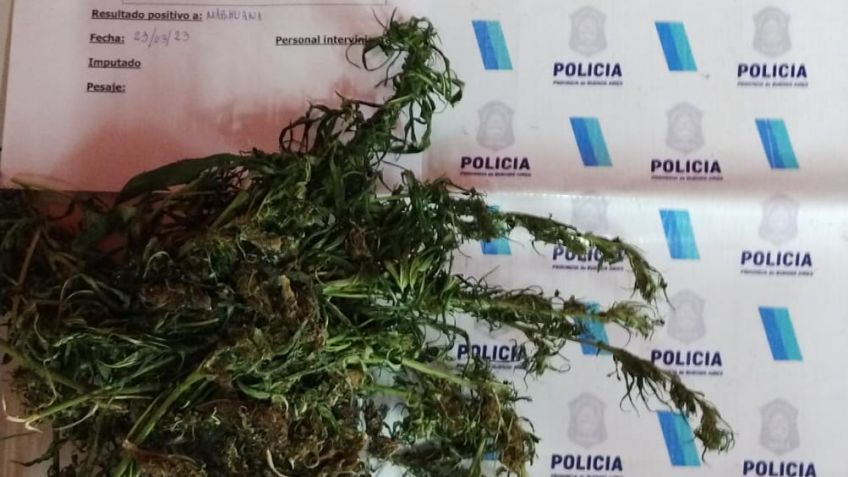 Detuvieron al autor del robo a una heladería