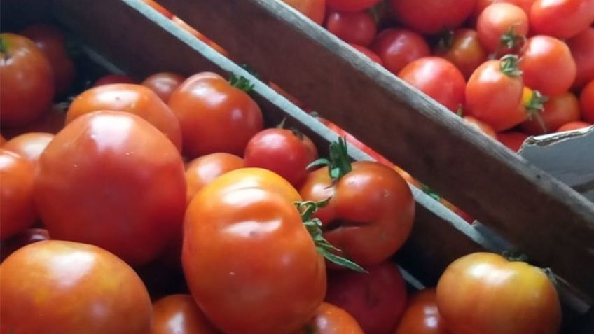 Desde este viernes se podrán comprar verduras agroecológicas en el Mercado Municipal