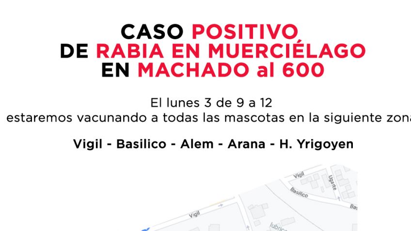 Un nuevo caso de murciélago con rabia activó el protocolo de vacunación
