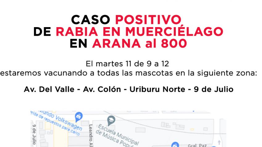 Vacunan a mascotas por caso positivo de rabia en un murciélago