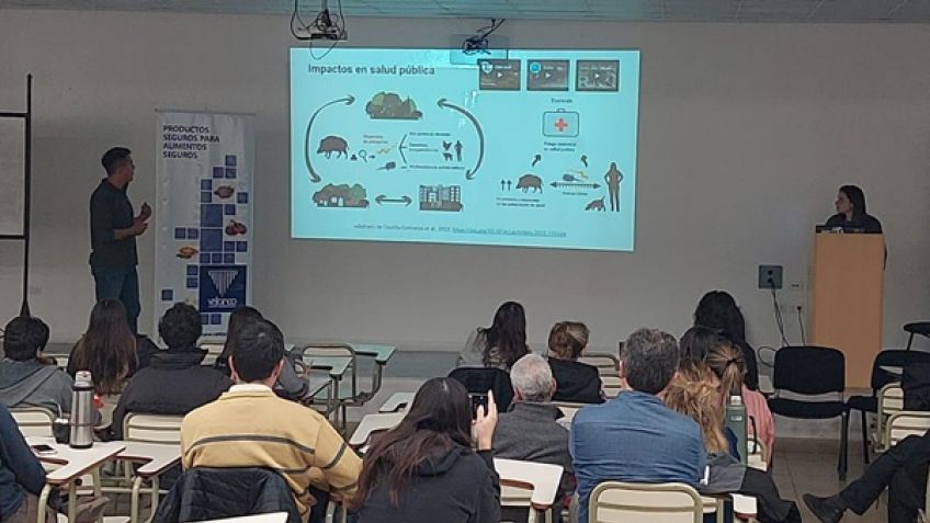 Otorgan financiamiento para proyecto de manejo estratégico del jabalí