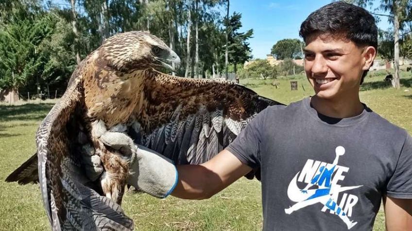 Por falta de "acompañamiento Municipal", Granja Los Pibes suspende el rescate de fauna Silvestre